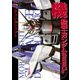 電撃データコレクション(18) 機動戦士ガンダムSEED 下巻（KADOKAWA） [電子書籍]