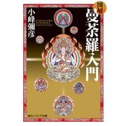 図解 曼荼羅入門（KADOKAWA） [電子書籍]
