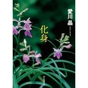 化身（東京創元社） [電子書籍]