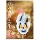 ひみつのウミウシ（誠文堂新光社） [電子書籍]