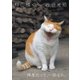 岩合光昭写真集 ねこ輝く（辰巳出版ebooks） [電子書籍]