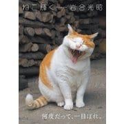 岩合光昭写真集 ねこ輝く（辰巳出版ebooks） [電子書籍]
