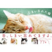 しまい忘れた猫（KADOKAWA） [電子書籍]