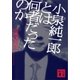 小泉純一郎とは何者だったのか（講談社） [電子書籍]