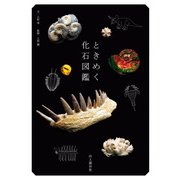 ときめく化石図鑑（山と溪谷社） [電子書籍]