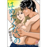 はめたくないの（ぶんか社） [電子書籍]