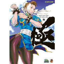 ストリートファイターアートワークス極 (カプコンオフィシャル