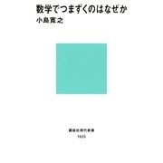 数学でつまずくのはなぜか（講談社） [電子書籍]