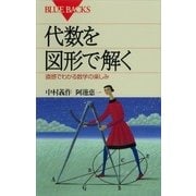 代数を図形で解く 直感でわかる数学の楽しみ（講談社） [電子書籍]