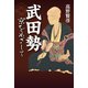 武田勢 京をめざして（幻冬舎メディアコンサルティング） [電子書籍]