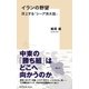 イランの野望 浮上する「シーア派大国」（集英社） [電子書籍]