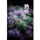 熟咲（月刊デジタルファクトリー） [電子書籍]