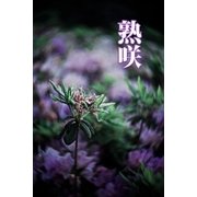 熟咲（月刊デジタルファクトリー） [電子書籍]