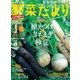 野菜だより 2016年9月号（ブティック社） [電子書籍]