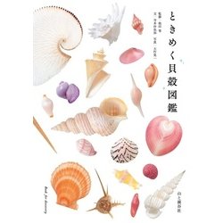 ヨドバシ.com - ときめく貝殻図鑑（山と溪谷社） [電子書籍