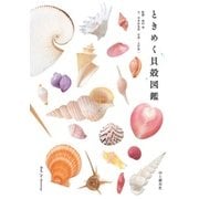 ときめく貝殻図鑑（山と溪谷社） [電子書籍]