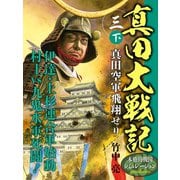 真田大戦記 三 下 真田空軍飛翔せり（ゴマブックス） [電子書籍]