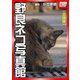 野良ネコ写真館【池袋編】（インプレス） [電子書籍]