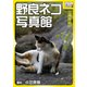 野良ネコ写真館【湾岸編】（インプレス） [電子書籍]