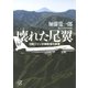 壊れた尾翼 日航ジャンボ機墜落の真実（講談社） [電子書籍]