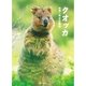 クオッカ 世界一しあわせな動物（山と溪谷社） [電子書籍]