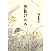 壁抜けの谷（中央公論新社） [電子書籍]
