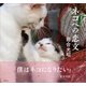 ネコへの恋文（日経BP社） [電子書籍]