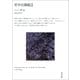 哲学史講義 II（河出書房新社） [電子書籍]