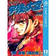宇強の大空 12（集英社） [電子書籍]