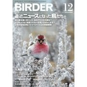 BIRDER(バーダー) 2016年12月号（文一総合出版） [電子書籍]