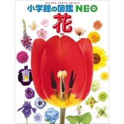 花と実の図鑑（５巻セット）   /偕成社（単行本） 花と実の図鑑シリーズ1〜7巻セット / 斉藤謙綱 / 三原道弘