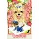 ある日 犬の国から手紙が来て 8（小学館） [電子書籍]