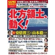 SAPIO(サピオ)別冊 「北方領土、動く！」（小学館） [電子書籍]