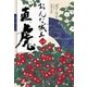おんな城主 直虎 一（NHK出版） [電子書籍]
