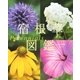 宿根草図鑑 Perennials （講談社） [電子書籍]