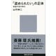 「認められたい」の正体 承認不安の時代（講談社） [電子書籍]