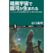暗黒宇宙で銀河が生まれる（SBクリエイティブ） [電子書籍]