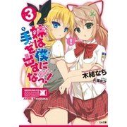 妹は僕に手を出すなっ！3（SBクリエイティブ） [電子書籍]