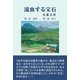 流血する宝石（東洋出版） [電子書籍]