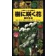 山溪ハンディ図鑑3 樹に咲く花 離弁花1（山と溪谷社） [電子書籍]