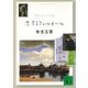 恋するフェルメール 37作品への旅（講談社） [電子書籍]