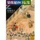 梁塵秘抄口伝集 全訳注（講談社） [電子書籍]