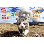 旅猫ニャン吉写真集 どんニャときでも笑う門には福来る！（双葉社） [電子書籍]