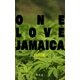 ONE LOVE JAMAICA（幻冬舎） [電子書籍]