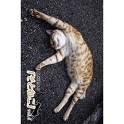 菊池茂夫の「そとねこ」vol.4（月刊デジタルファクトリー） [電子書籍]