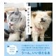 グレ子とわさお（主婦と生活社） [電子書籍]