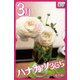 ハナカツ365 [3月]（インプレス） [電子書籍]