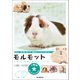 モルモット（誠文堂新光社） [電子書籍]