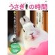 うさぎの時間 NO.19（誠文堂新光社） [電子書籍]