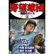 野望球団 3 「熱風のエース」（グループ・ゼロ） [電子書籍]